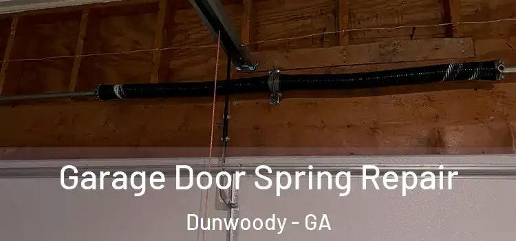  Garage Door Spring Repair Dunwoody - GA